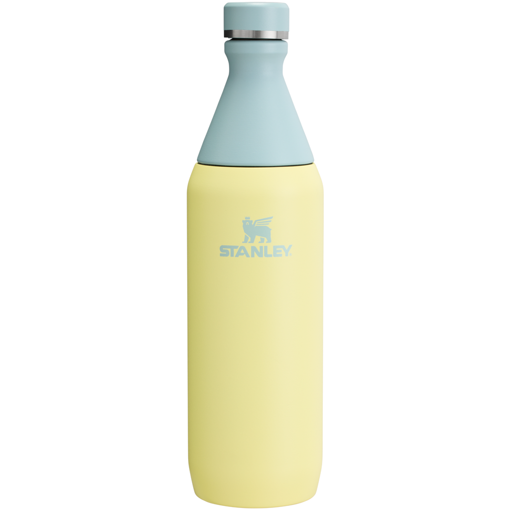 Stanley Leak Proof 20 OZ All Day Slim Bottle  with removable collar in Pomelo