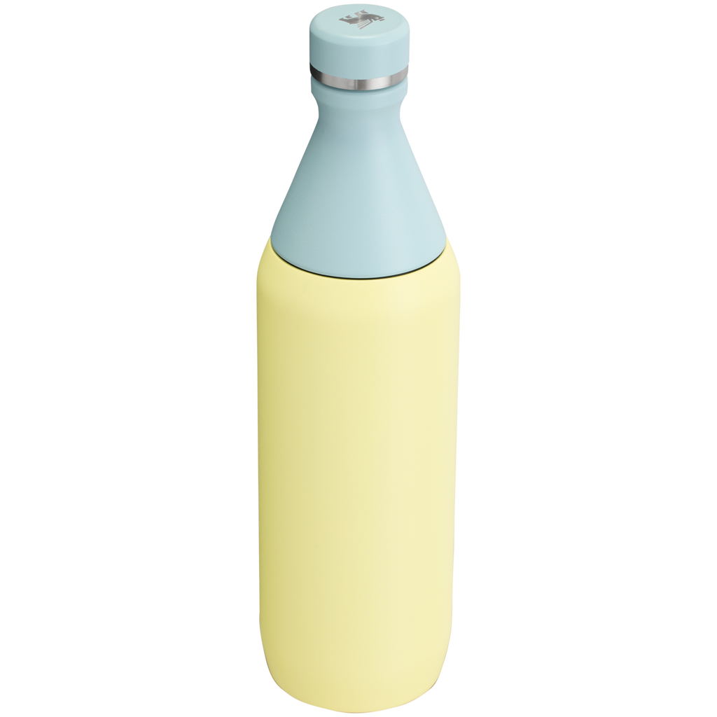 Stanley Leak Proof 20 OZ All Day Slim Bottle  with removable collar in Pomelo